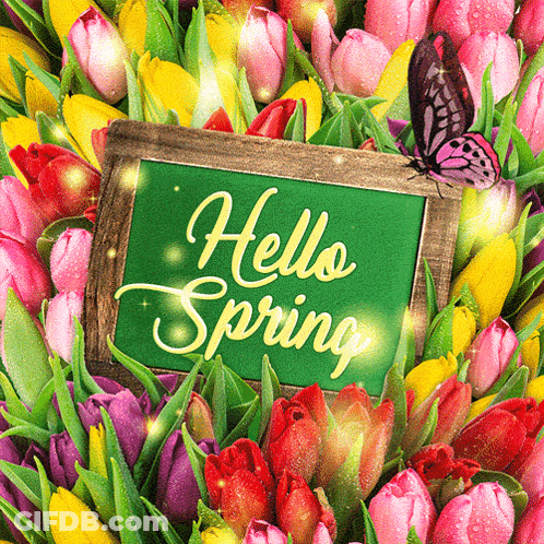 A Green Sign That Says Hello Spring Surrounded By Flowers GIF