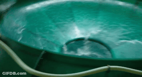A Green Swimming Pool With A Yellow Hose Attached To The Side GIF