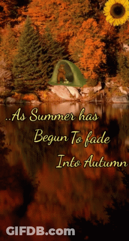 A Green Tent Sits On A Rock Near A Lake With A Sunflower In The Background GIF