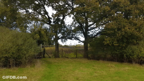 A Green Truck Is Parked In A Grassy Field With Trees In The Background GIF