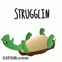 A Green Turtle Is Laying On A Piece Of Bread With The Word Strugglein Written Above It . GIF
