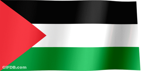 A Green White And Black Flag With A Red Triangle GIF