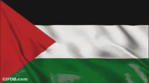 A Green White And Black Flag With A Red Triangle GIF