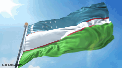 A Green White And Blue Flag With White Stars On It GIF