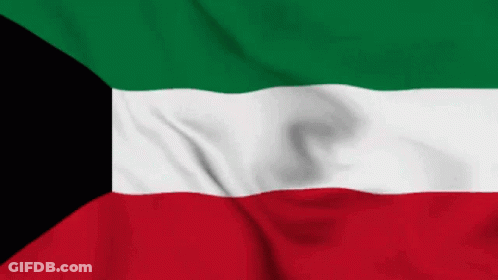A Green White And Red Flag With A Black Border GIF