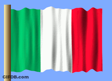 A Green White And Red Flag With A Blue Background GIF