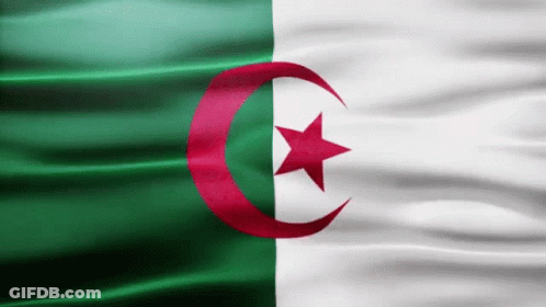 A Green White And Red Flag With A Red Star GIF