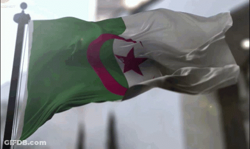 A Green White And Red Flag With A Red Star On It GIF