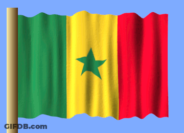 A Green Yellow And Red Flag With A Star In The Middle GIF