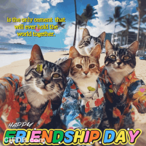 A Greeting Card For Friendship Day With Three Cats GIF