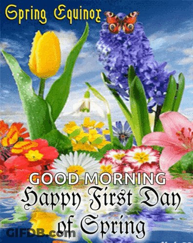 A Greeting Card For Spring Equinox With Flowers And A Butterfly GIF