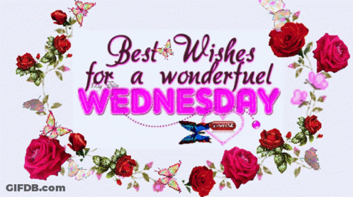 A Greeting Card That Says Best Wishes For A Wonderful Wednesday With Roses And Butterflies GIF