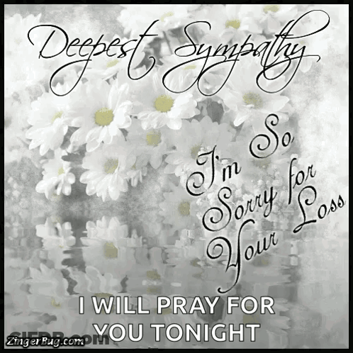 A Greeting Card That Says " Deepest Sympathy " And " I 'M So Sorry For Your Loss " GIF