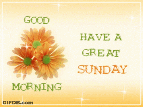 A Greeting Card That Says Good Morning And Has Flowers On It GIF