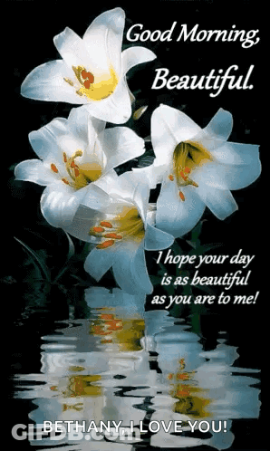 A Greeting Card That Says " Good Morning Beautiful " With Flowers In The Water GIF
