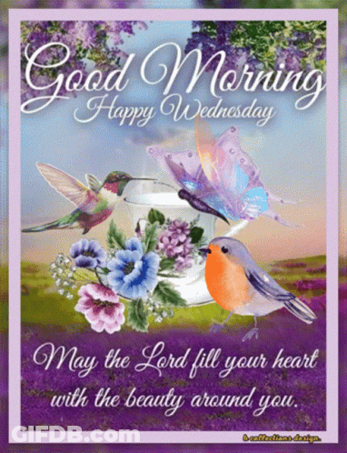 A Greeting Card That Says Good Morning Happy Wednesday With Flowers And Birds GIF