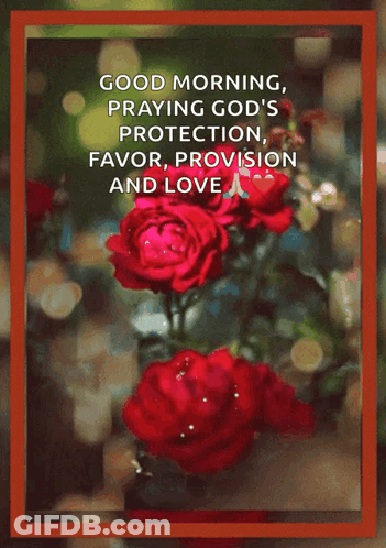 A Greeting Card That Says Good Morning Praying God 'S Protection Favor Provision And Love On Wednesday GIF