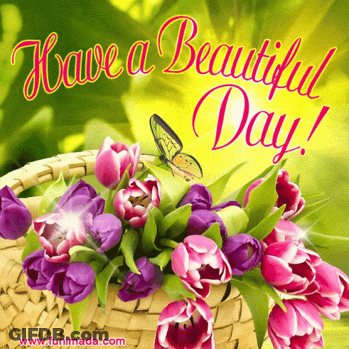 A Greeting Card That Says Have A Beautiful Day With Purple Flowers In A Basket GIF