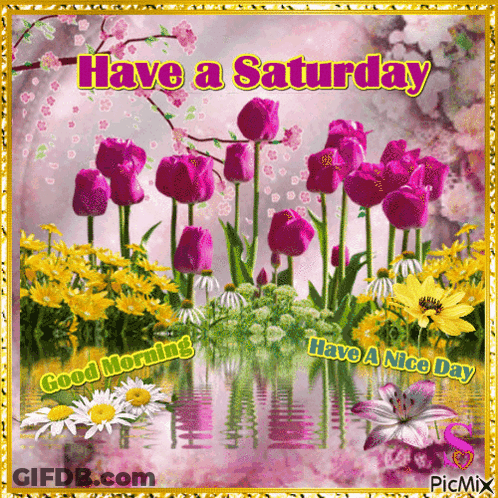 A Greeting Card That Says Have A Saturday And Good Morning GIF