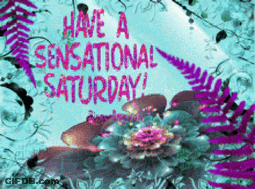 A Greeting Card That Says Have A Sensational Saturday With Flowers In The Background GIF
