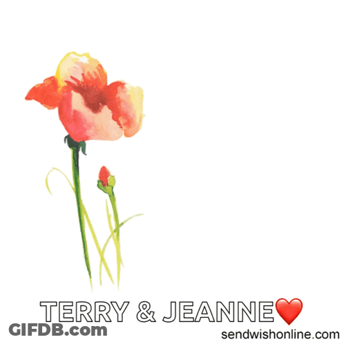 A Greeting Card That Says " Have A Wonderful Anniversary Terry And Jeanne " GIF