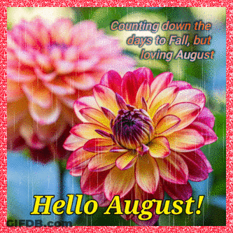 A Greeting Card That Says Hello August With A Flower In The Foreground GIF