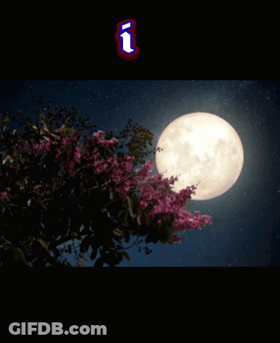 A Greeting Card That Says I Love You My Moon Lolipet GIF