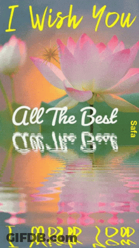 Greeting Card Wishing You All The Best Day GIF