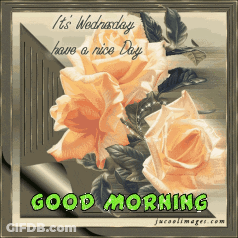 A Greeting Card That Says It 'S Wednesday Have A Nice Day And Good Morning GIF