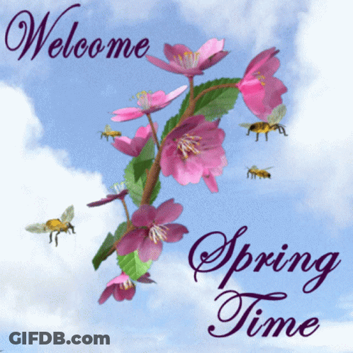 A Greeting Card That Says Welcome Spring Time GIF