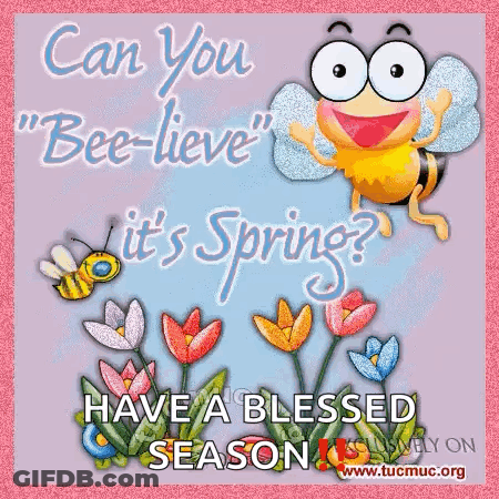 A Greeting Card With A Bee And Flowers That Says Can You Bee-Lieve It 'S Spring GIF