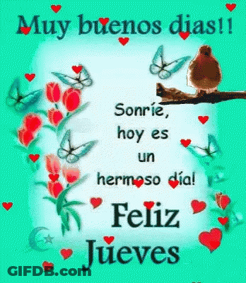 A Greeting Card With A Bird Sitting On A Branch With Flowers And Butterflies . GIF