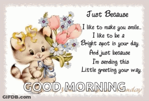 A Greeting Card With A Cat Holding Flowers And The Words Just Because GIF