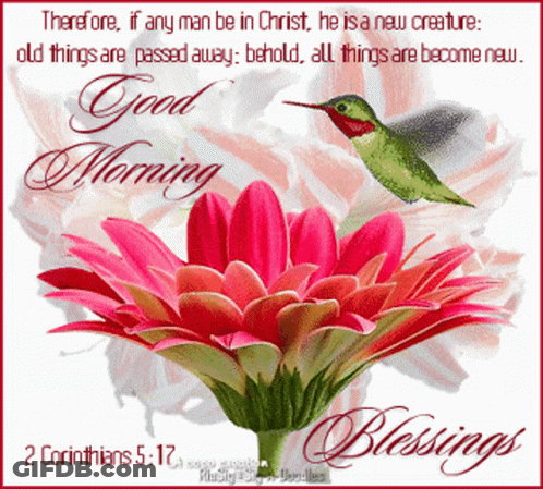 A Greeting Card With A Flower And A Hummingbird Says Good Morning And Blessings GIF