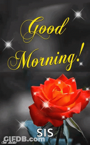 A Greeting Card With A Red Rose And The Words Good Morning GIF