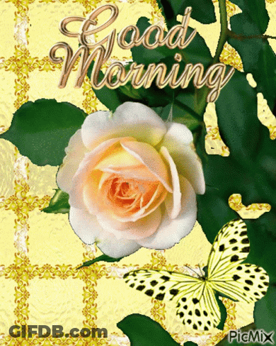 A Greeting Card With A White Rose And Butterflies That Says Good Morning GIF