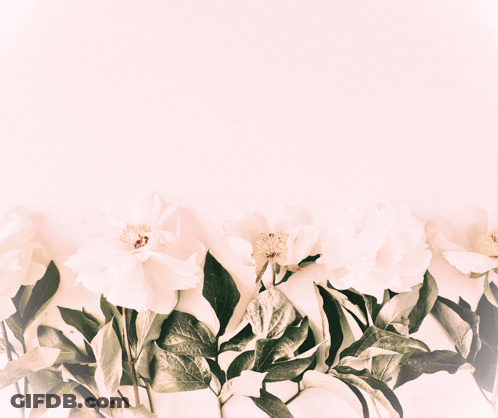 A Greeting Card With Flowers And The Words 8-Mi Mapt GIF