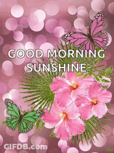 A Greeting Card With Pink Flowers And Butterflies Says Good Morning Sunshine GIF