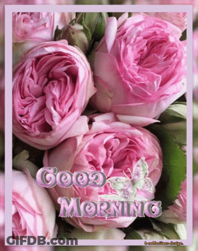 A Greeting Card With Pink Flowers And The Words Good Morning GIF