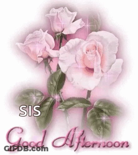 A Greeting Card With Pink Roses And The Words `` Good Afternoon '' GIF
