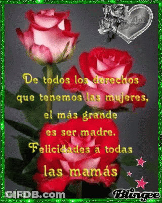 A Greeting Card With Red Roses And The Words De Todos Los Derechos Que Tenemos Las Mujeres El Mas Grande Es Ser Madre GIF
