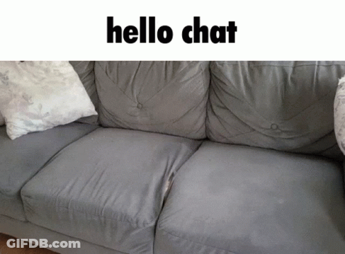 A Grey Couch With White Pillows And The Words Hello Chat On Top GIF