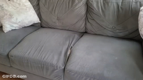 A Grey Leather Couch With White Pillows On It GIF