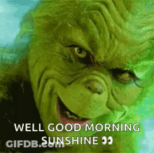 A Grinch Says `` Well Good Morning Sunshine '' While Smiling . GIF