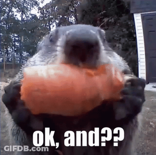 A Ground Squirrel Is Holding A Piece Of Carrot In Its Mouth And Says Ok And GIF