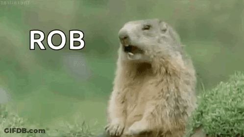 A Ground Squirrel Is Standing In The Grass With Its Mouth Open And The Word Rob Written Above It . GIF