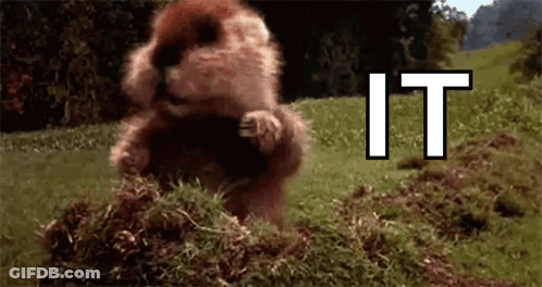 A Ground Squirrel Is Standing On Its Hind Legs In A Field With The Words `` It '' Above It . GIF