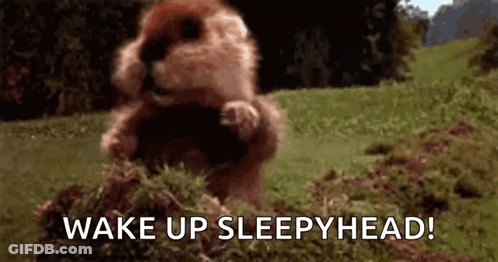 A Ground Squirrel Is Standing On Its Hind Legs In A Grassy Field . GIF