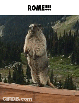 A Ground Squirrel Standing On Its Hind Legs In Front Of A Forest With The Words Rome Written Above It GIF