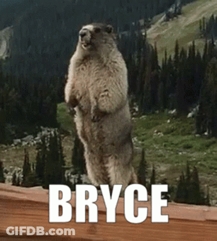 Ground Squirrel Standing With Bryce Name GIF